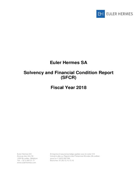 euler hermes annual report 2021|Euler Hermes SA Solvency and Financial Condition Report .